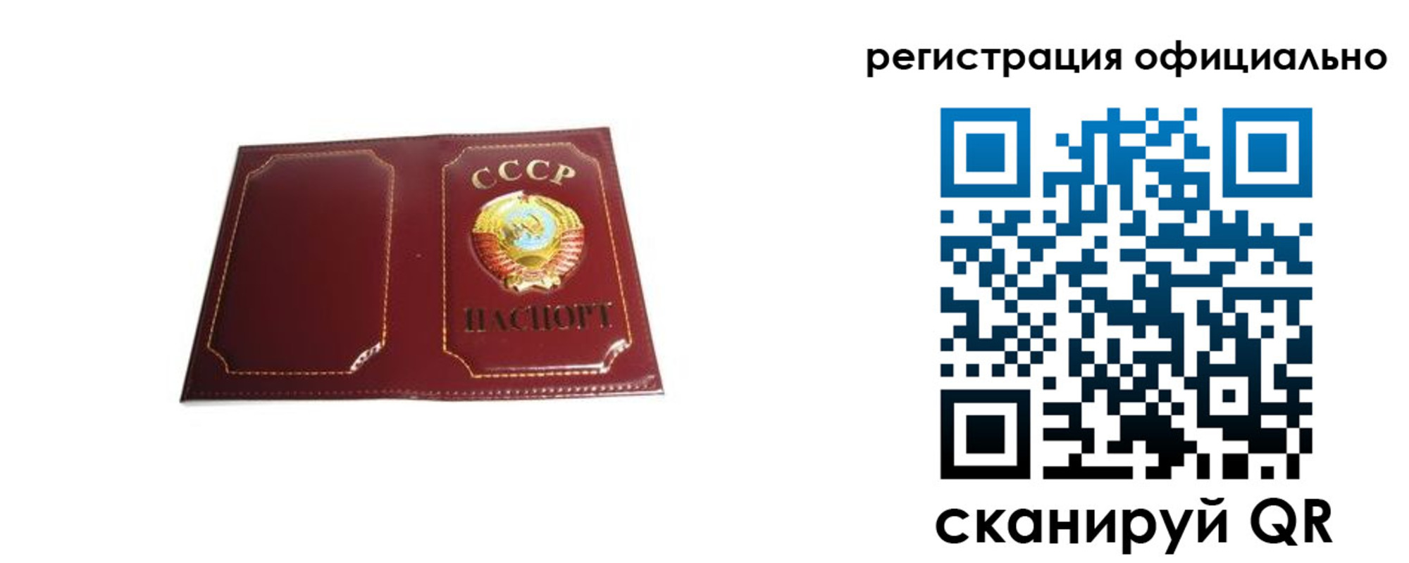 прописка в Ногинске